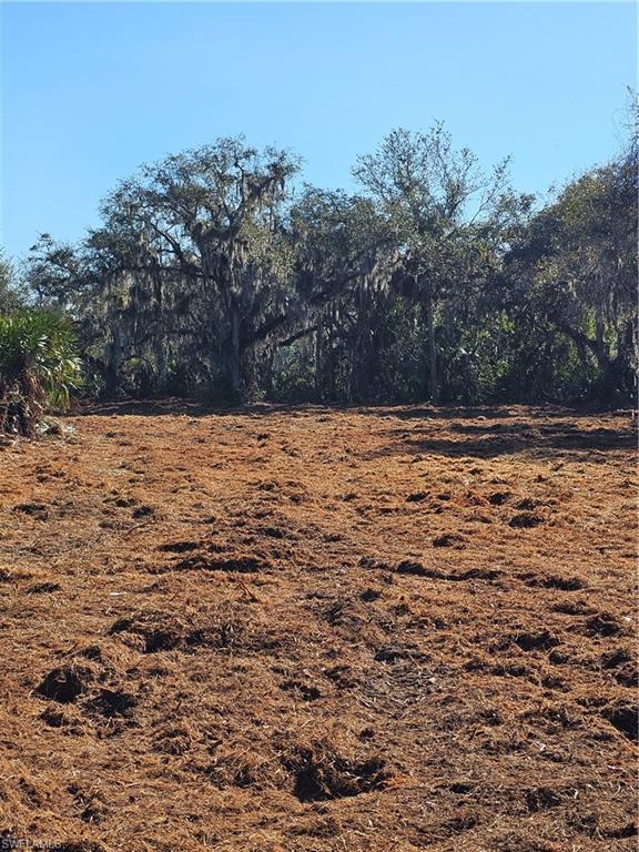 16470 B1 Daughtreys Creek Rd Property Photo 2