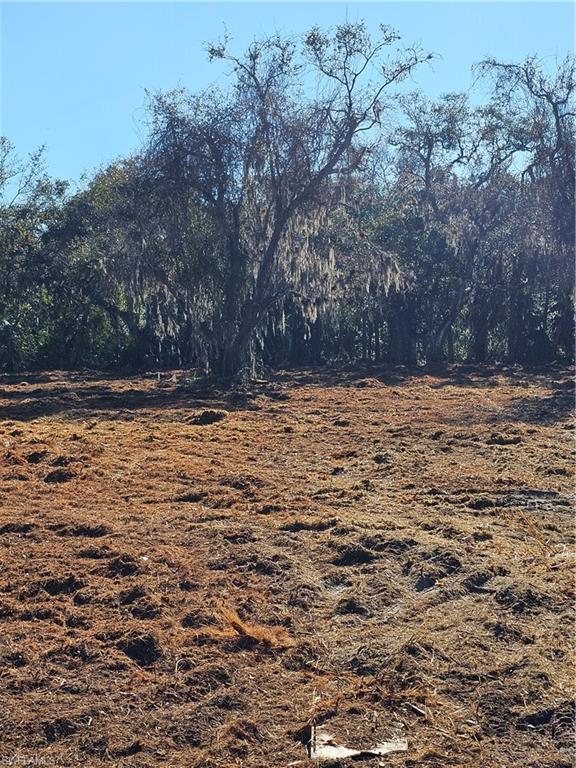 16470 B1 Daughtreys Creek Rd Property Photo 3