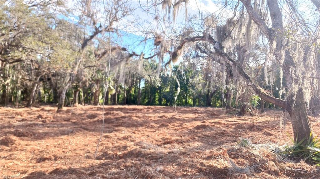 16470 B1 Daughtreys Creek Rd Property Photo 4