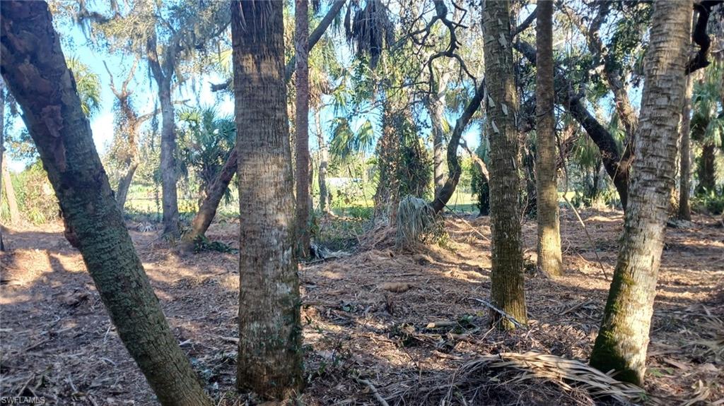16470 B1 Daughtreys Creek Rd Property Photo 5