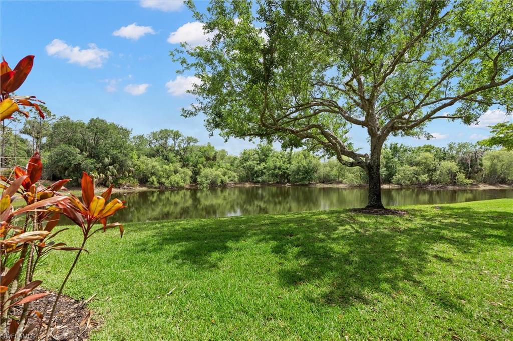3210 Cottonwood Bend 803 Property Photo 15