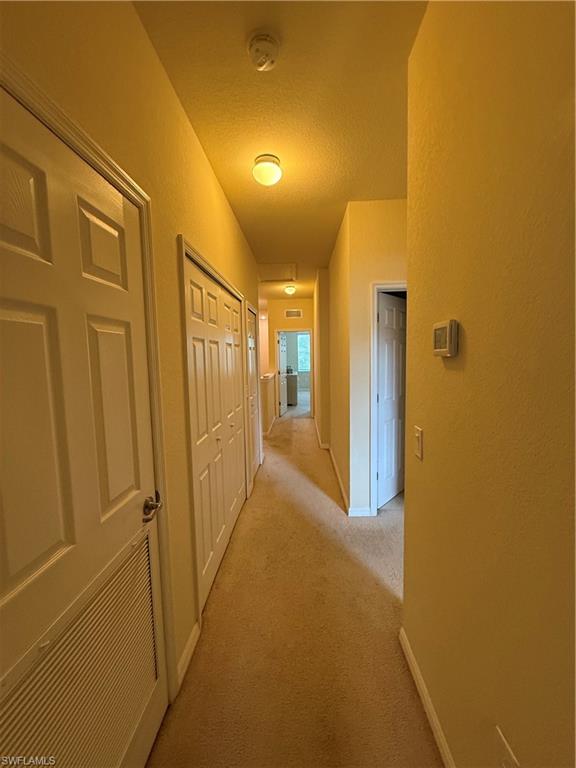 10020 Via Colomba Cir Property Photo 9