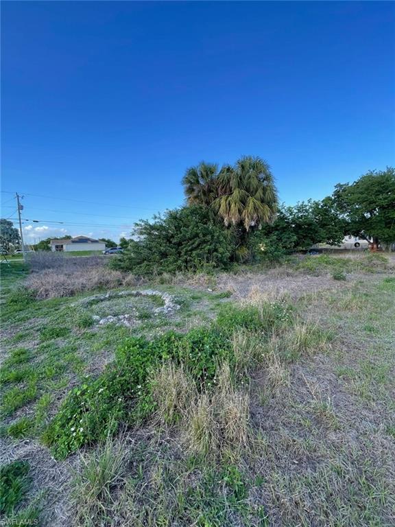 124 Preston St Property Photo 4