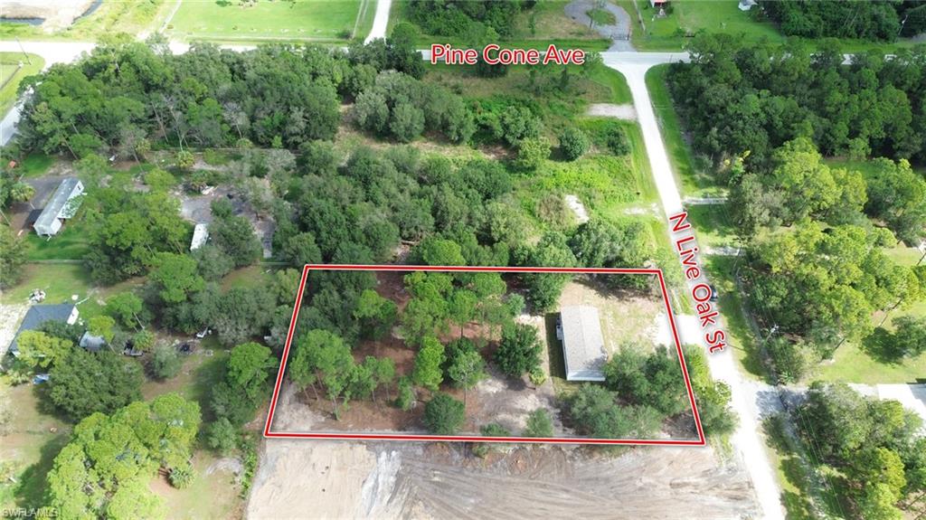 860 N Live Oak St Property Photo 28