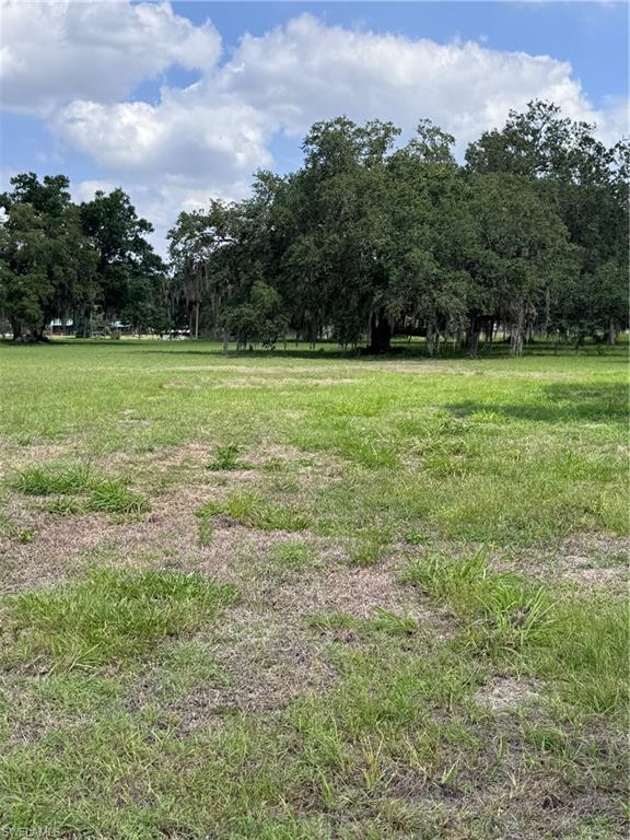 4500 Fort Denaud Rd Property Photo 8