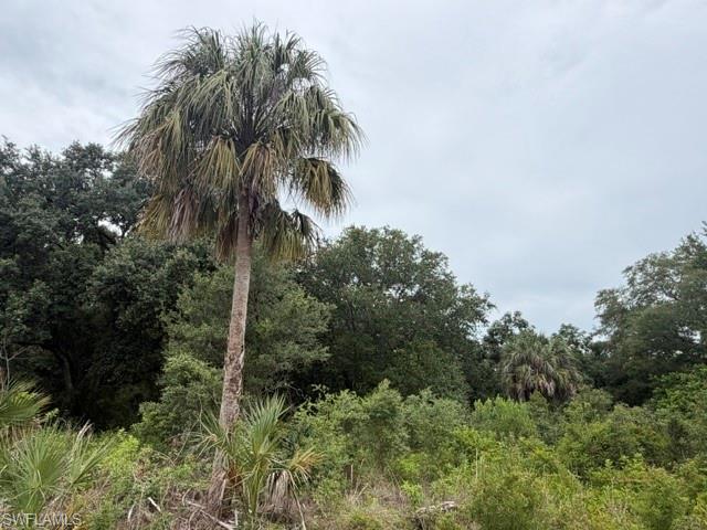 1905 Hamilton AVE Property Photo 1
