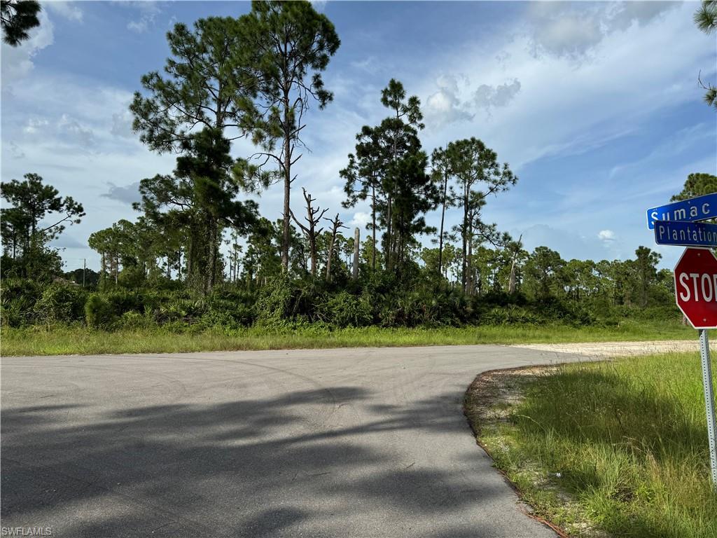 1123 Plantation Rd Property Photo 1