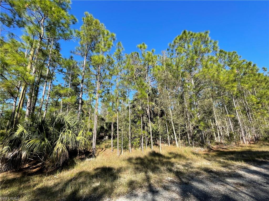 308 Rosanna Ave Property Photo 2