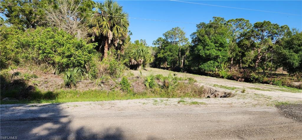 815 N Palm St Property Photo 2