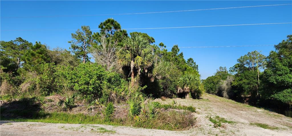 815 N Palm St Property Photo 3