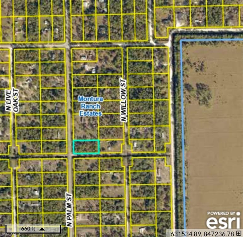 815 N Palm St Property Photo 4