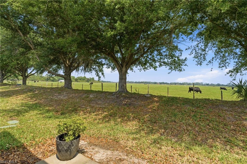 8834 Tuscany Isles Dr Property Photo 29