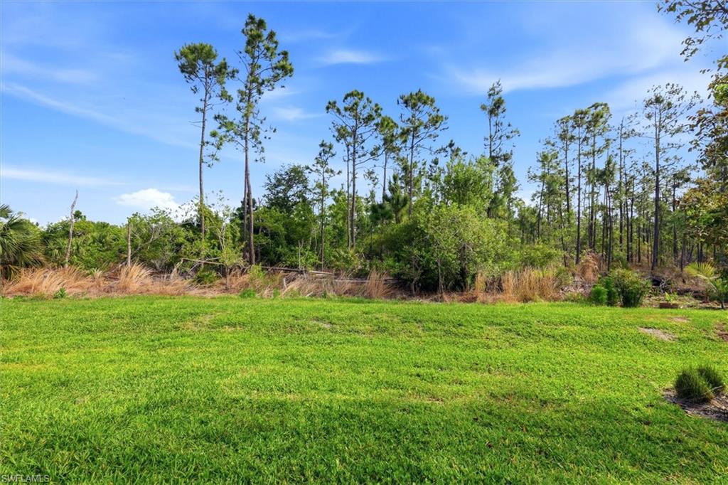 20579 Plumwood Loop Property Photo 30