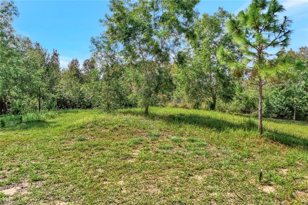 41601 Little Farm Rd Property Photo 1
