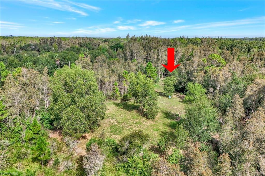 41601 Little Farm Rd Property Photo 2