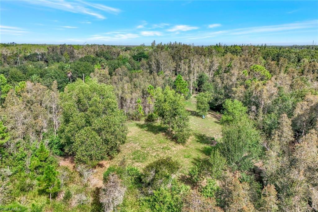 41601 Little Farm Rd Property Photo 5