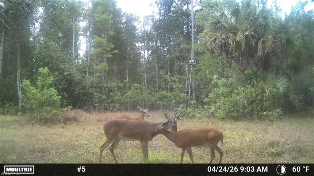 16840 Jozach Dr Property Photo 3