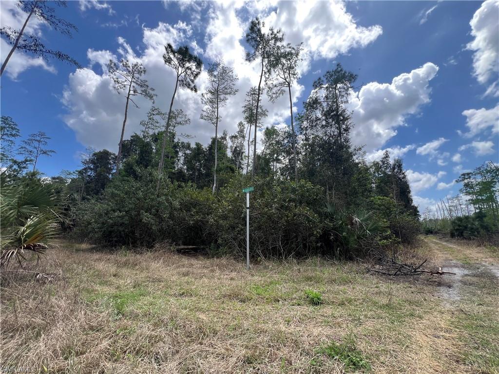 16840 Jozach Dr Property Photo 33