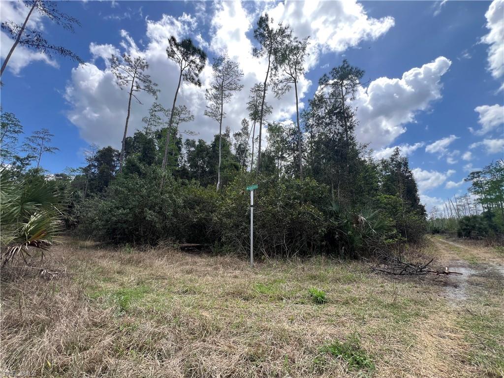 16840 Jozach Dr Property Photo 34