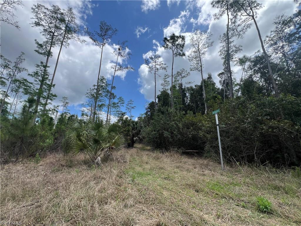 16840 Jozach Dr Property Photo 35