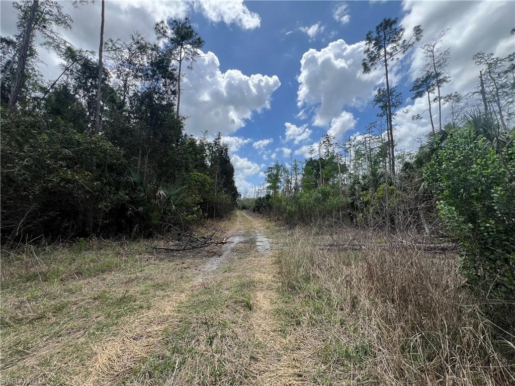 16840 Jozach Dr Property Photo 36