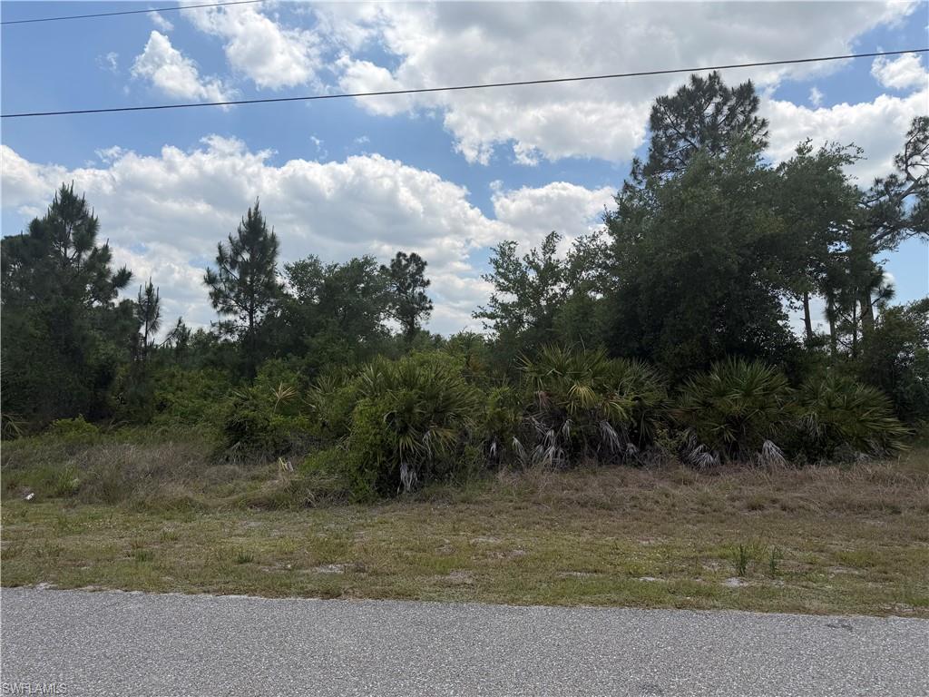1247 Galileo St E Property Photo 3