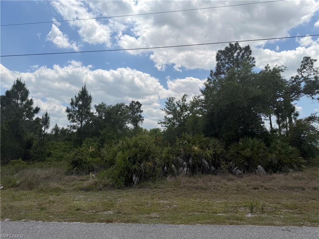 1247 Galileo St E Property Photo 6