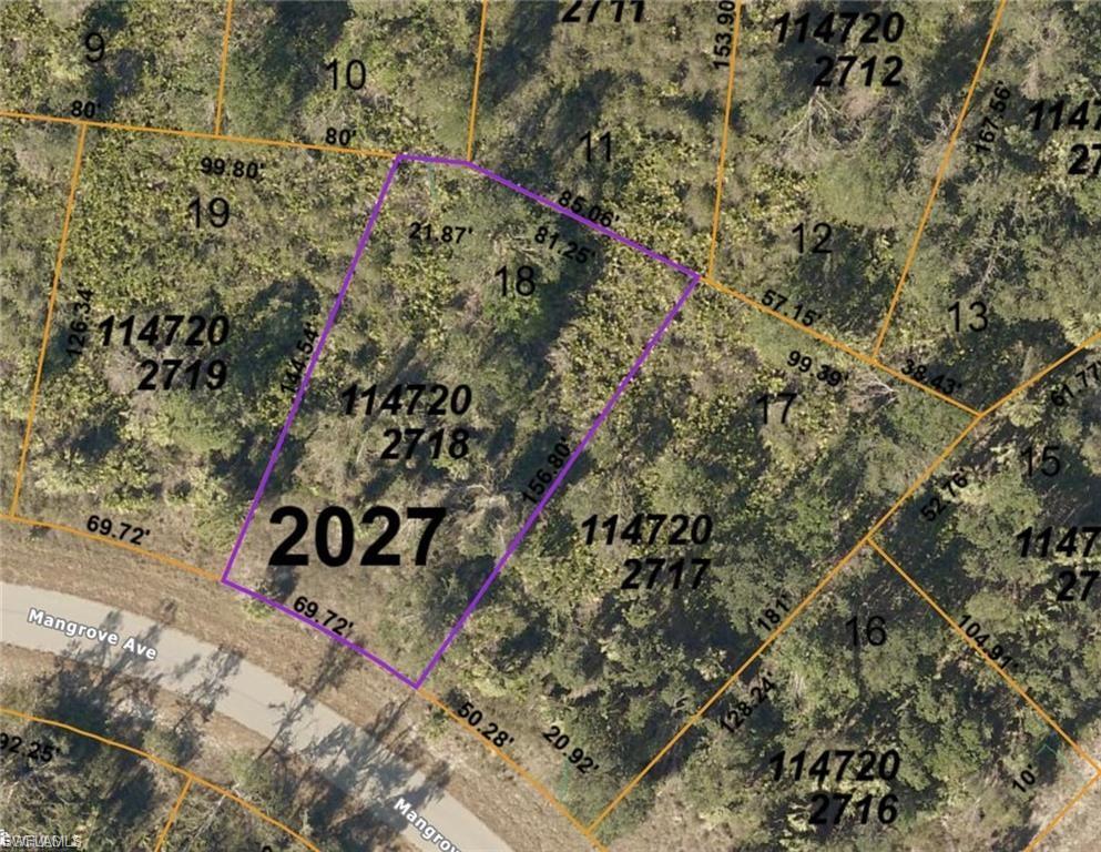 Mangrove Ave Property Photo 1