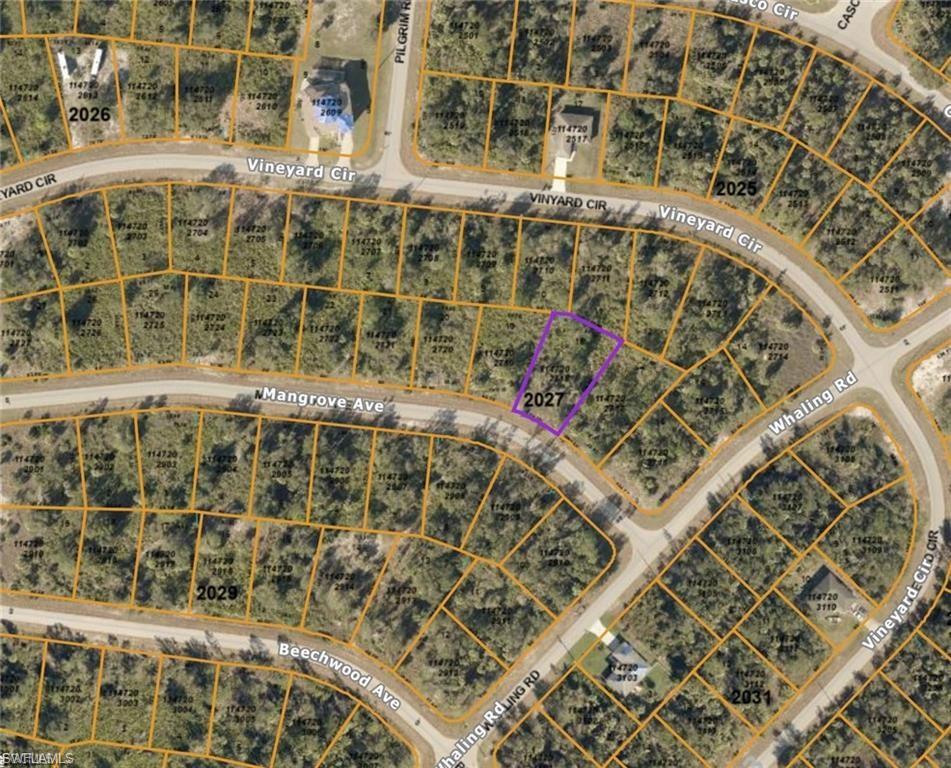 Mangrove Ave Property Photo 3