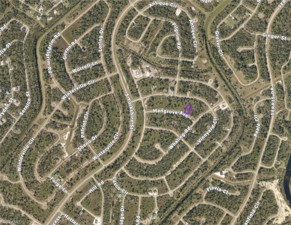 Mangrove Ave Property Photo 4
