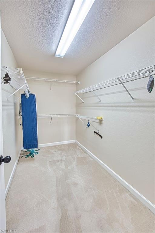 13971 Reflection Lakes Dr Property Photo 19
