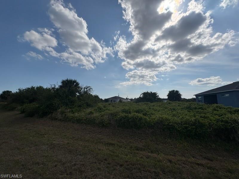7031 Calder Cir Property Photo 4