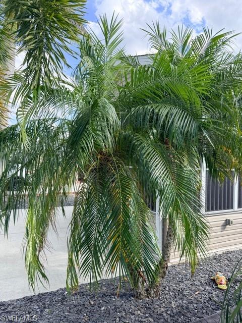 5471 Cypress Trail Resort Cir Property Photo 25