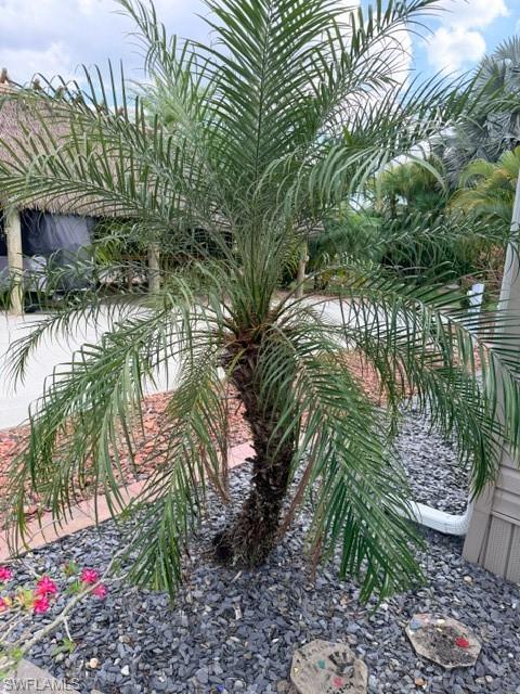 5471 Cypress Trail Resort Cir Property Photo 47