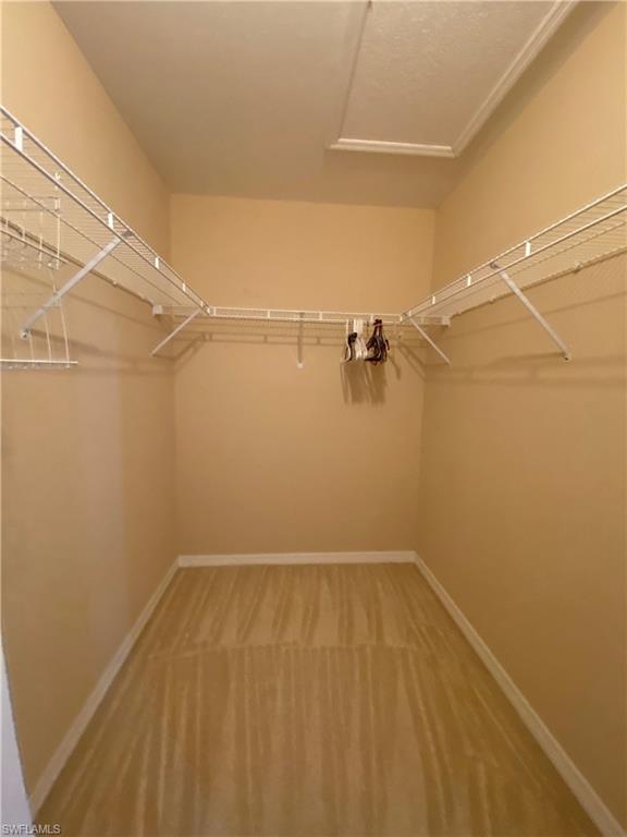 2677 Blue Cypress Lake Ct Property Photo 26