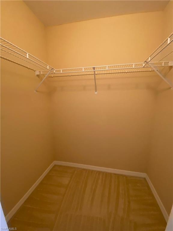 2677 Blue Cypress Lake Ct Property Photo 27