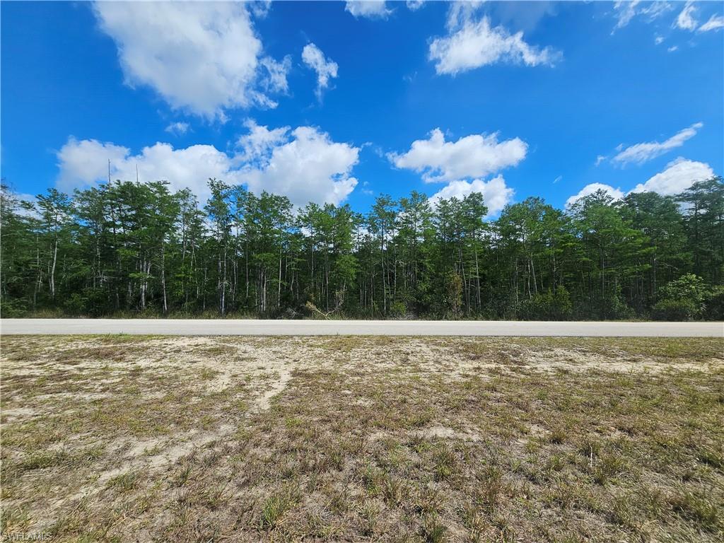 443 Greenbriar Blvd Property Photo 4