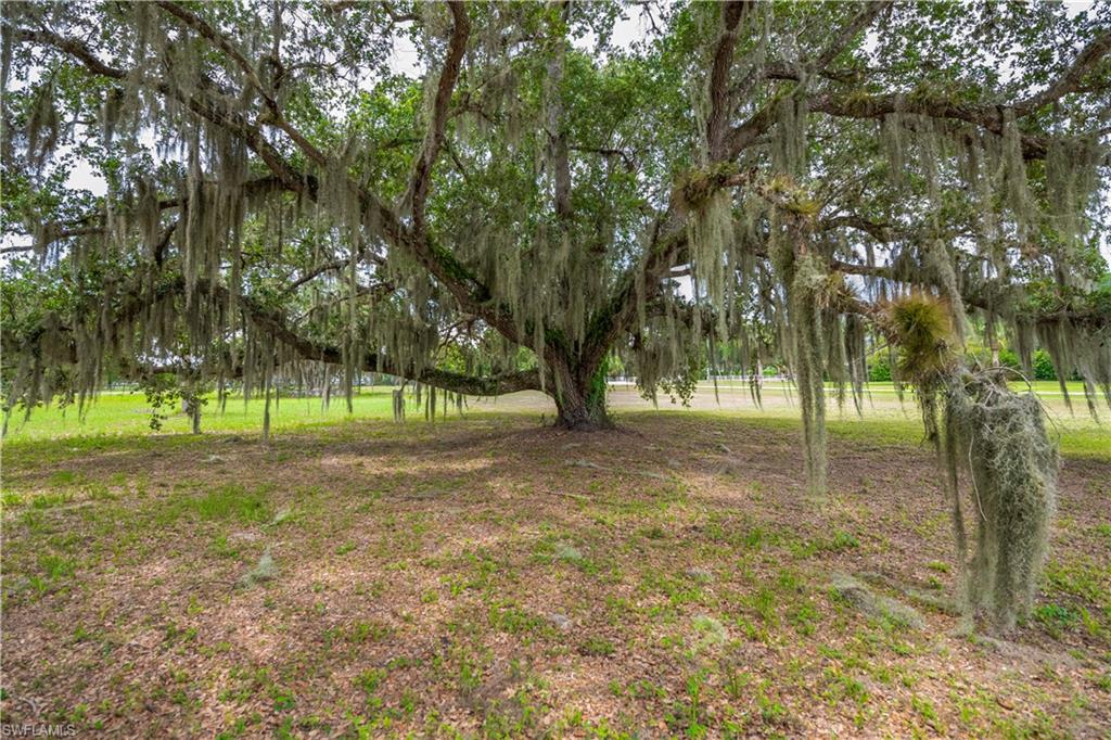 75 Ft Denaud Bridge Way Property Photo 8