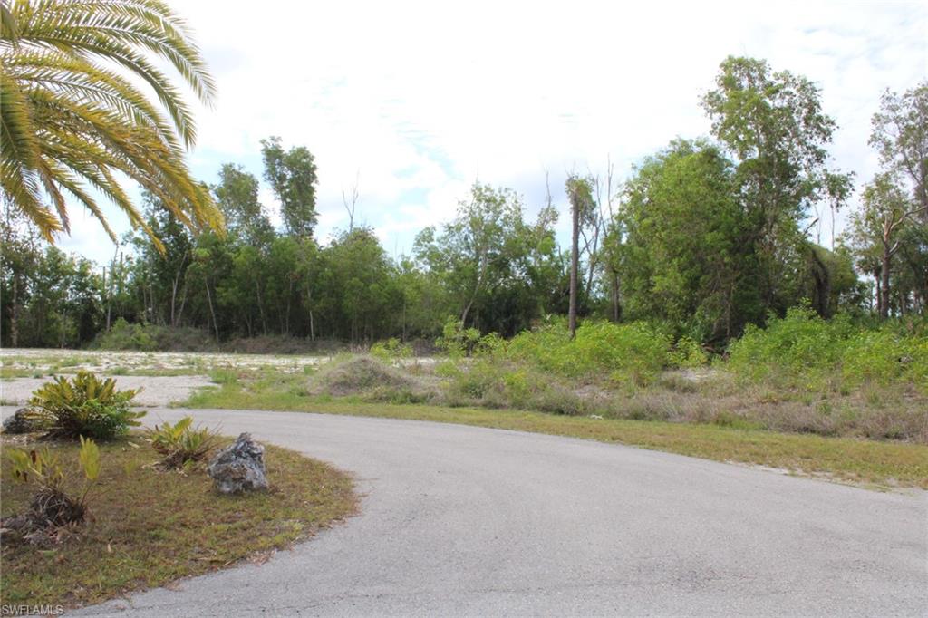 4416 Lake Heather Cir Property Photo 2