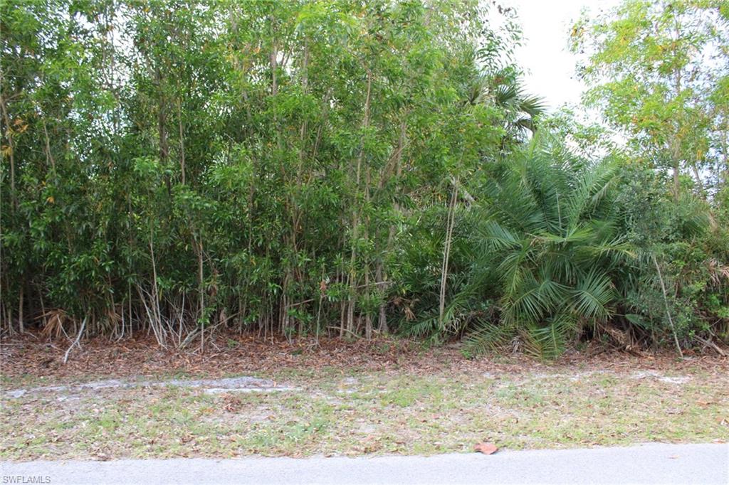 4416 Lake Heather Cir Property Photo 4
