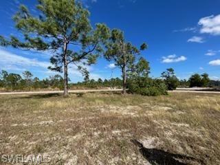 1720 Jacaranda Pkwy W Property Photo 9