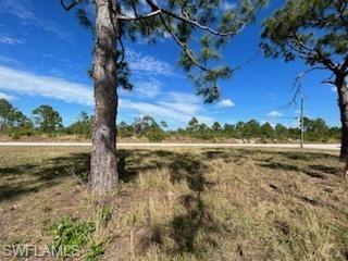 1720 Jacaranda Pkwy W Property Photo 10