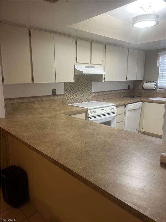 1754 Cape Coral Pkwy E 107 Property Photo 5