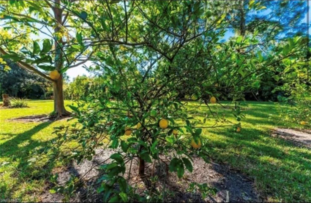 25271 Roland Ln Property Photo 2