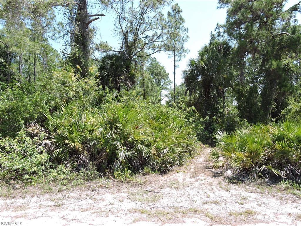 1015 Handy St Property Photo 3