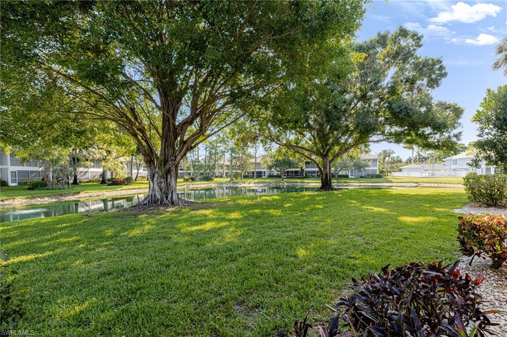 600 Misty Pines Cir 104 Property Photo 31