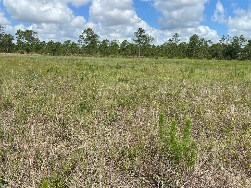 577 Kirby Thompson Rd Property Photo 4