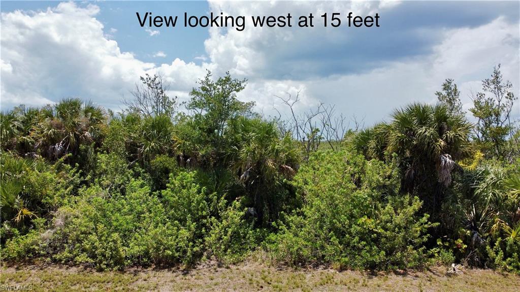 16721 San Edmundo Rd Property Photo 4