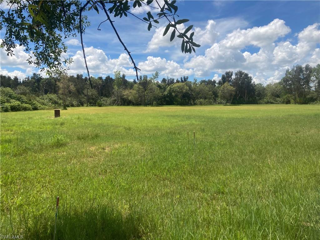 41601 Horseshoe RD Property Photo 1