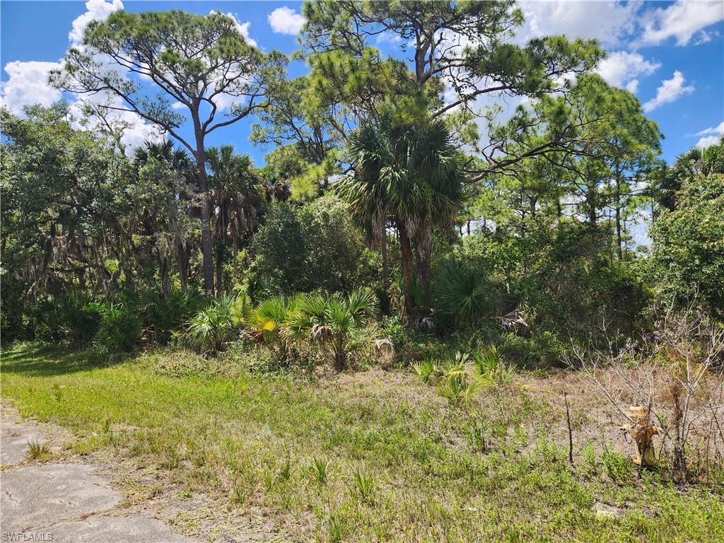 636 Nassau Cir Property Photo 3